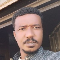 انس الرفاعي