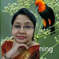 Mousumi Maity