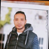 M Elsayed