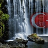 Nedim Aldemir Tpao - İş Geliştirme D.Bşk