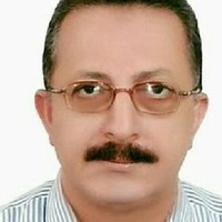 Emadeldeen Elsayed