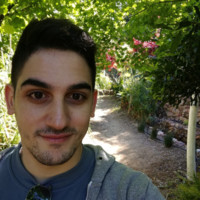 Dimitris Kavroulakis