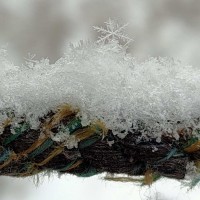 杨尚林