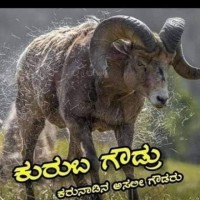 Nagaraju Neelam