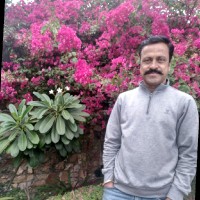 Yogendra Singh Rathore