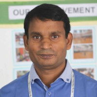 mr shohidul