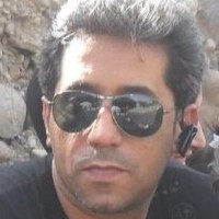 reza mashayekhi