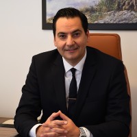 Dimitrios I. Papageorgiou