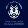 Thewolf Ofdalalstreet