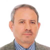 Ali Ahmadi
