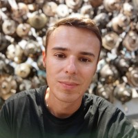 Vitaliy Rybin