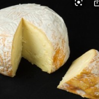 Myles Hennybottom.     he/hee