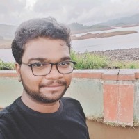 Parthasarathi P