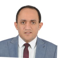 Mostafa Fawzy Gaballa, Pmp®
