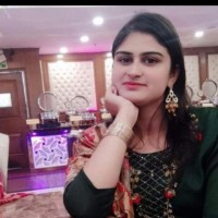 Mrinal Mudgil