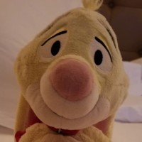 Roger Rabbit