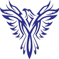 Phoenix Technology