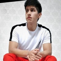 Fredd William Vasquez Layme