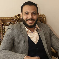 Lotfy Mohamed Hegazy