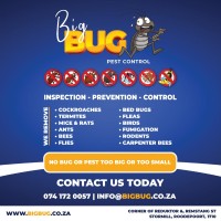 Bigbug Pestcontrol