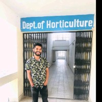 Chandan Dangi