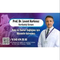 Levent Korkmaz