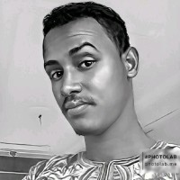 HOUSSEIN MOHAMED HASSAN
