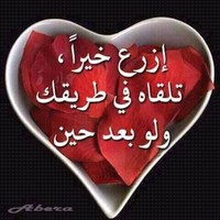 Abo Ahmed