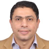 Mohamed Fetouh, Msc, Pmp, Leed-Ap, Vma-Save
