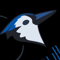 Blue Jays Consulting