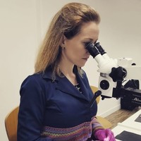 Esvetilane Raitz