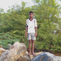 Sureshkumar P Sureshkumar P