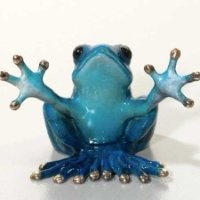 Blue Frog