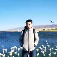 委玉平