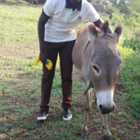 Remy Twagirimana