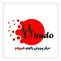 Hirudo Leech