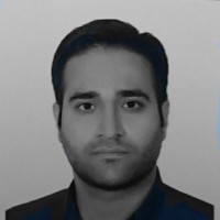 majid amiri