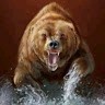 Medicine Bear Whitebow