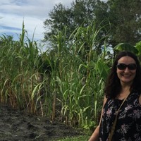 Lisa Gonzalez, M.S.