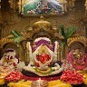 Hitesh Bhambhani