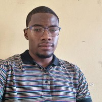 Nyashadzashe Chikarakara