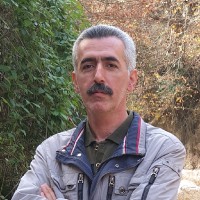Seyed Hosseini