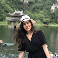 Hoang Hong Anh Nguyen