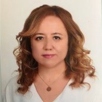 Seçkin Voyna