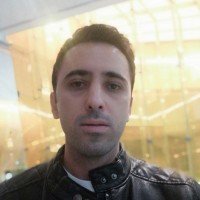 Saeid Shadi