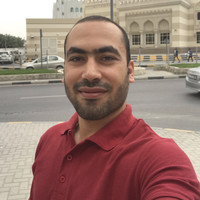 hany elmghraby