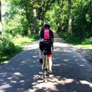 Wiepke Kok