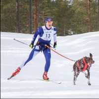 Tuomo Niittylahti