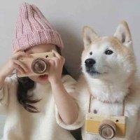 赵艳娇