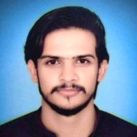 Ibrahim Shahzad